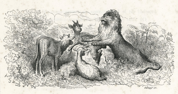 Fable "La Génisse, la chèvre et la brebis en société avec le lion"