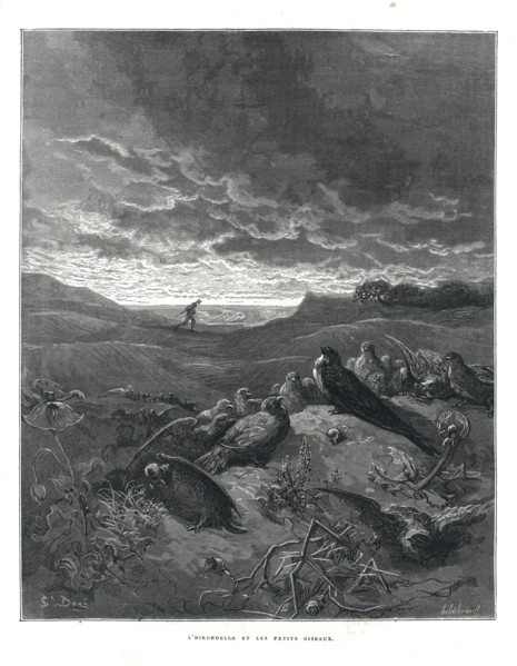 Fable "L'hirondelle et les petits oiseaux"