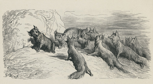 Fable "Le Renard ayant la queue coupée