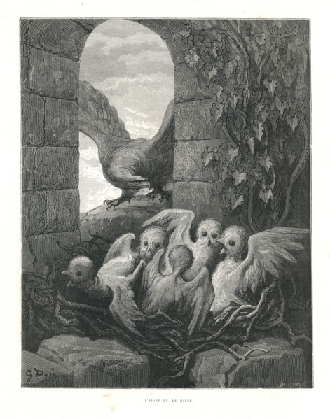 Fable "L'Aigle et le Hibou"