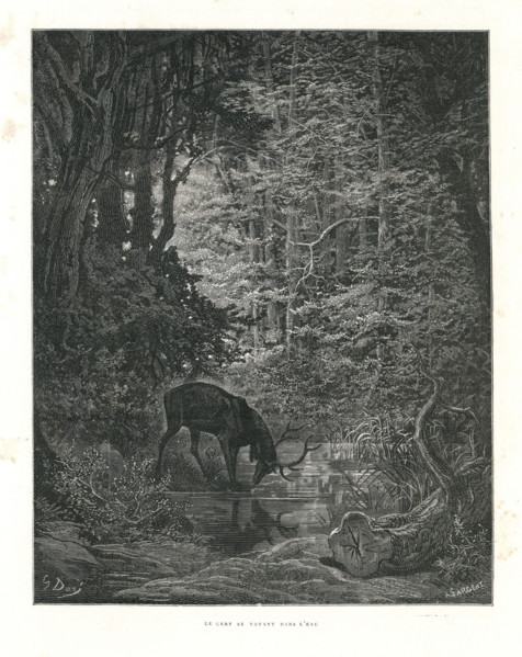 Fable "Le Cerf se voyant dans l'eau"