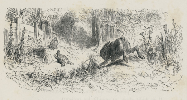 Fable "Le Lièvre et la Tortue"