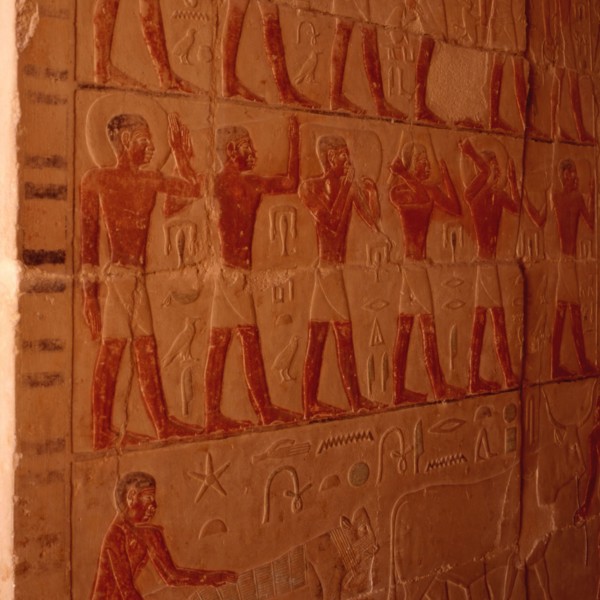 Sakkara, mastaba of the two brothers Niankhknum and Khumhotep, procession of priests of Ka, bearing  offerings