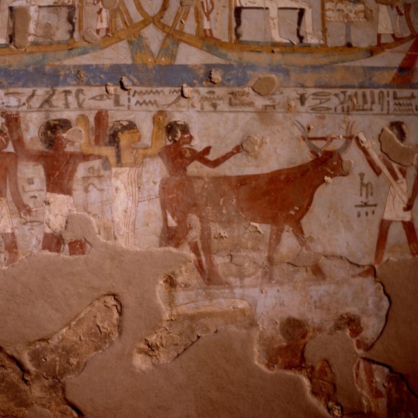Theban tombs: User No.260