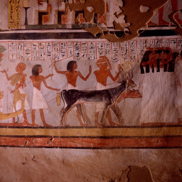 Theban tombs: Roy No.255