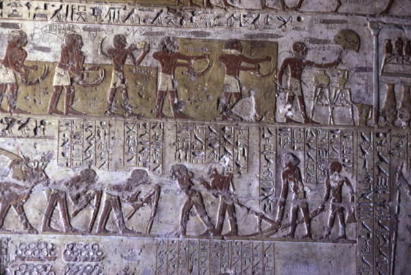 El Kab, Tomb of Paheri, Farming scenes