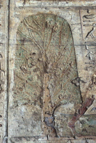 El Kab, Tomb of Paheri, Farming scenes
