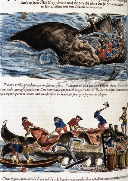 Gesner, Manuscript "Historiae animalium", book II : "Quadrupedipus oviparis"