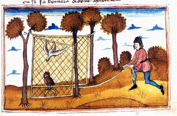 Manuscrit d'Henry de Ferrières, le livre du Roy Modus et de la Royne Ratio, scène de fauconnerie