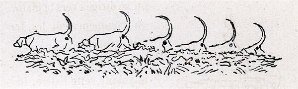 Jules Verne, "Dix heures en chasse", illustration
