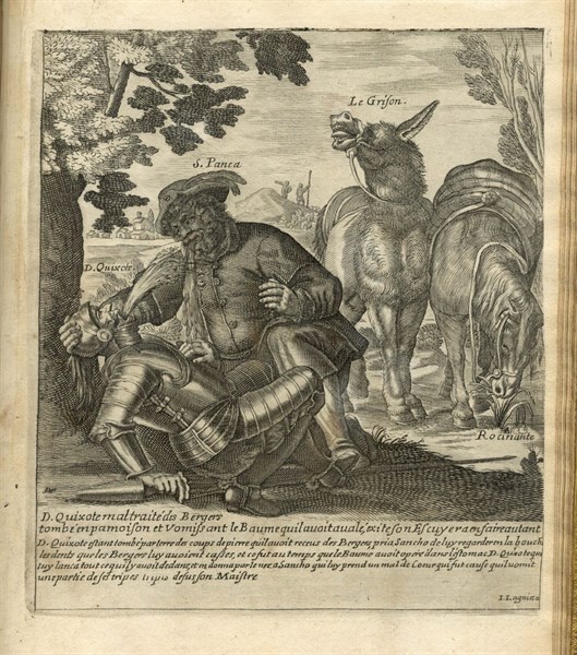 Les Aventures de Don Quichotte et Sancho Pansa. Illustration
