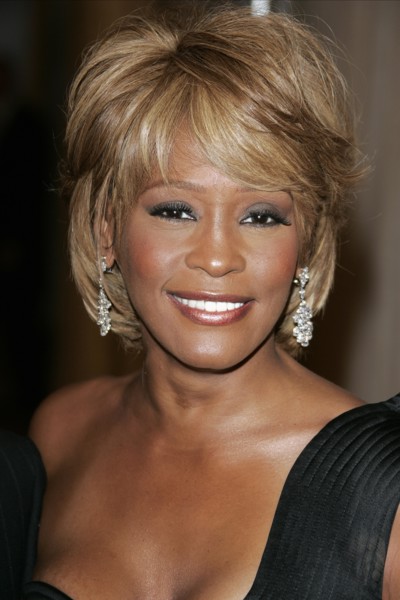 THE 17TH CAROUSEL OF HOPE BALL
