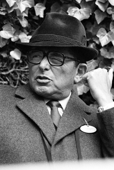 Daniel Wildenstein
