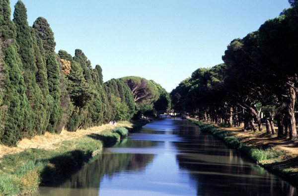 Sallèles d'Aude, canal de jonction, cyprès et pins parasols