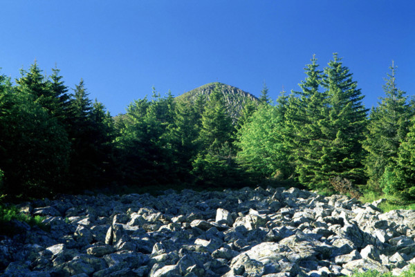 Vue de la D274 en direction du mont Mézenc
