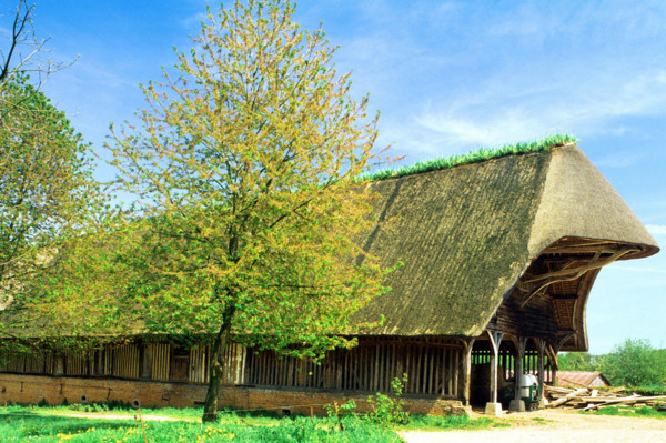 Sainte-Geneviève en Caux, château des Etangs, grange batelière