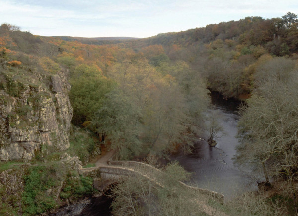 Vue du pont de la D353, entre Pierre-Perthuis et Précy-le-Moult, en direction du sud, l'ancien pont de Pierre-Perthuis et la Cure