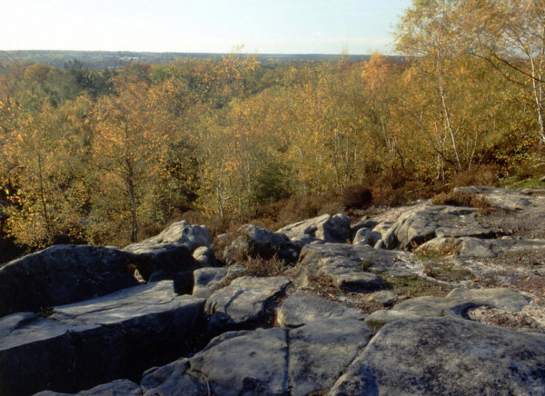 Bois de Montlognon, les Bruyères de Frais Vent