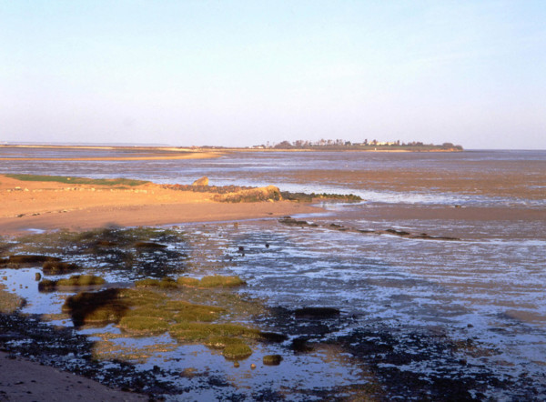 Vue du littoral de Port des Barques en direction de l'Ile