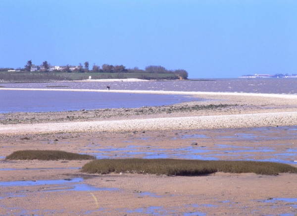 Vue du littoral de Port des Barques en direction de l'Ile