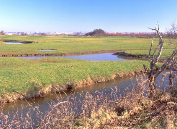 Vue de la pointe sud de la route sud en direction des marais et de Fouras