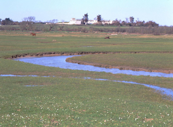 Vue de la pointe sud de la route sud en direction de l'ancien fort