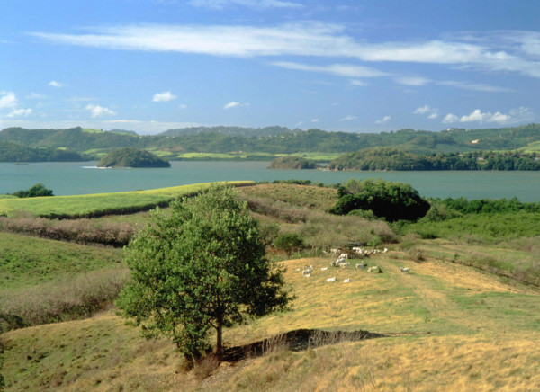 Vue de la D2 en direction de pointe Marcussy et îlot du Galion