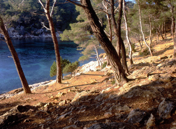 Port d'Alon