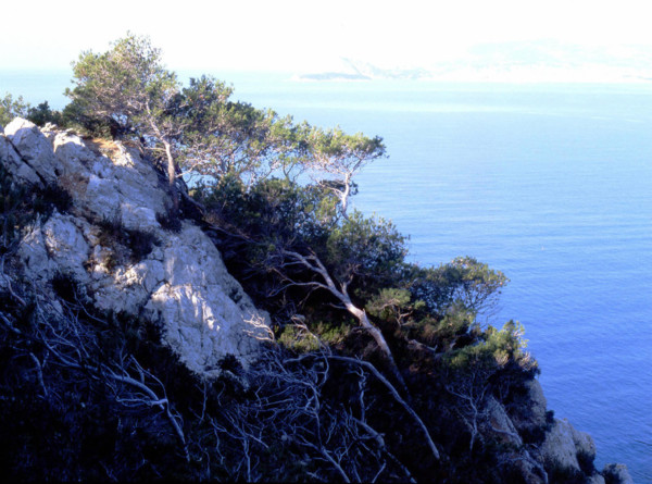 Pointe Fauconnière. Au fond, La Ciotat et Cap Canaille