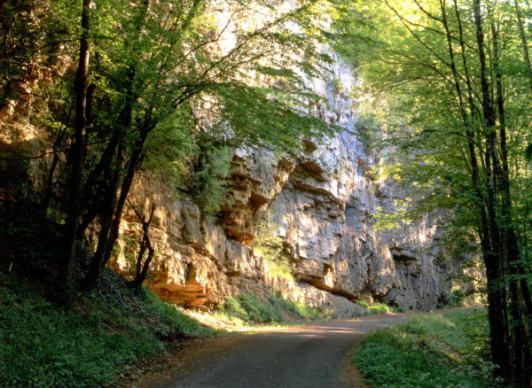 Vue de la D21, le long du torrent des Alloz