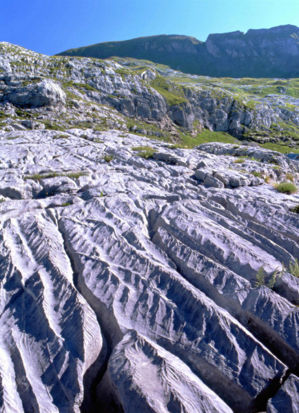 Vue des environs des chalets de Platé en direction de la Pointe de Platé, détail de lapiaz