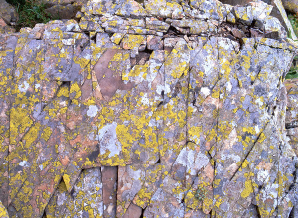 Détail de rocher