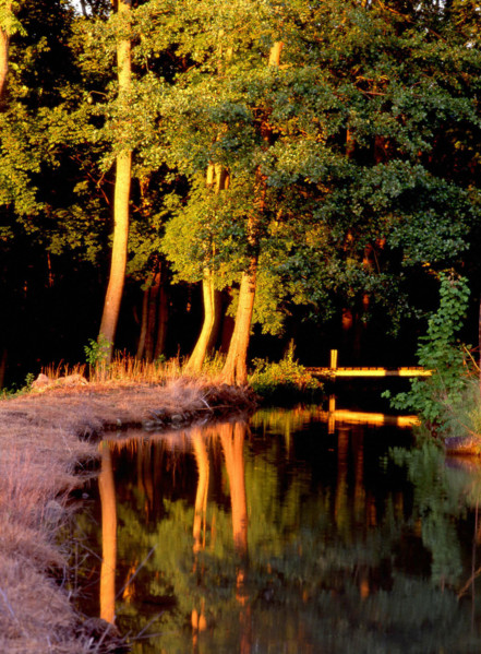 Ile-de-France : vallée de l'Orvanne
Le Moulin-Neuf, entre Thoury-Férottes et Voulx