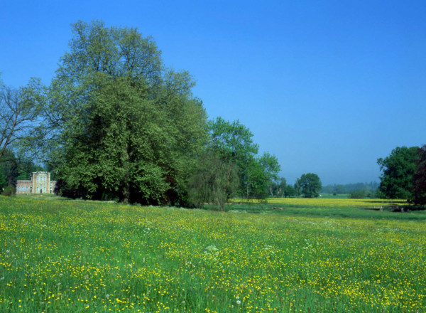 Lorraine : le parc du château de Gerbéviller et ses perspectives sur la vallée de la Mortagne : vue de la prairie en direction du Pavillon Rouge et de la vallée de la Mortagne