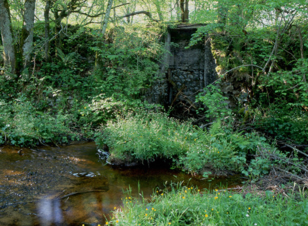 Bourgogne : le Mont Préneley et les sources de l'Yonne : Port des Lamberts