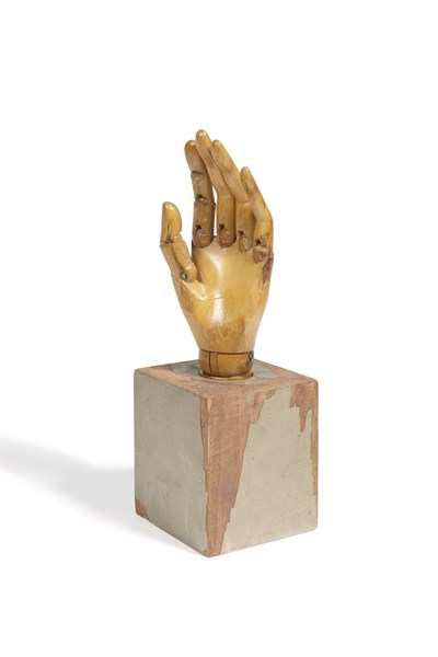 Siegel, "Main Articulée"