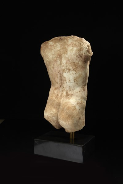 Torse masculin (vue de dos)