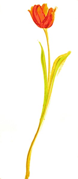 Fleurs. Bâche peinte