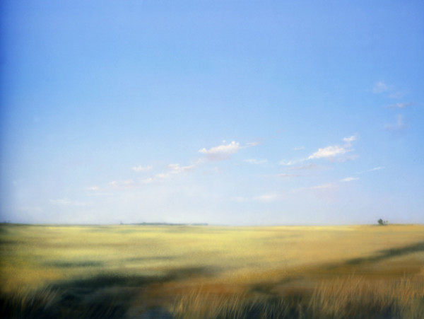 Bâche peinte. Paysage champêtre