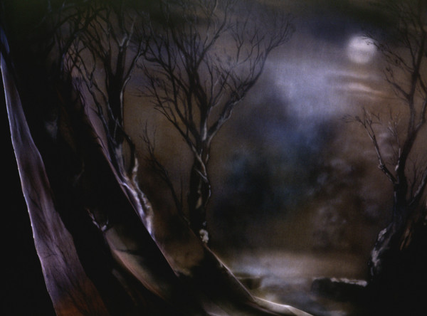 Bâche peinte. Paysage nocturne