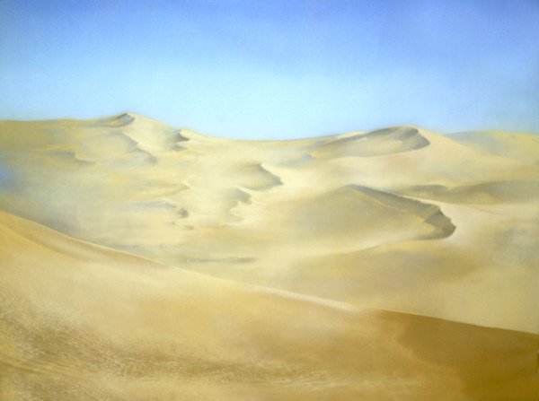 Bâche peinte. Paysage désertique