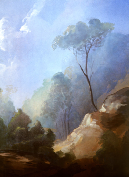 Bâche peinte. Paysage rocheux