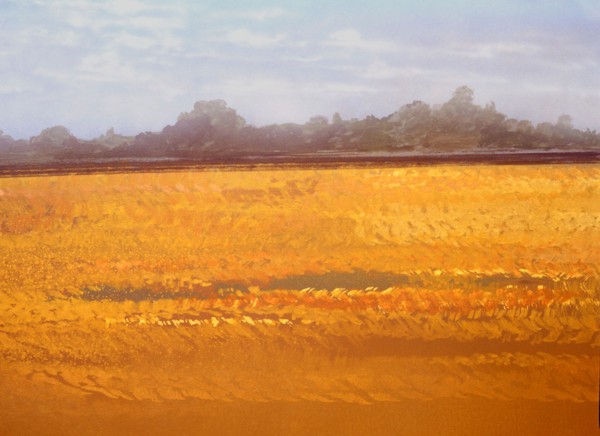 Bâche peinte. Paysage