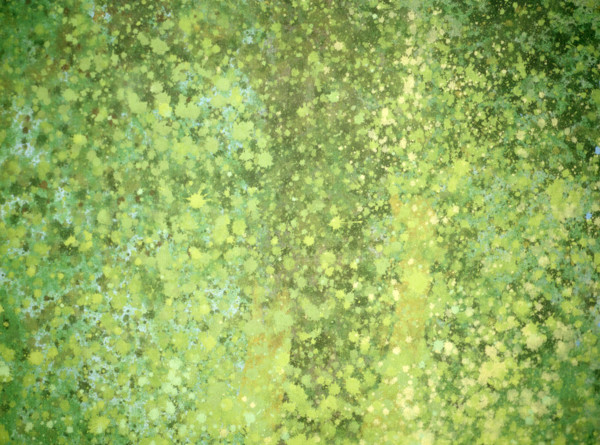 Matter effects. Painted canvas tarp