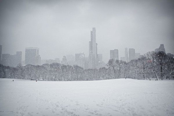 Winter in Central Park, NYC