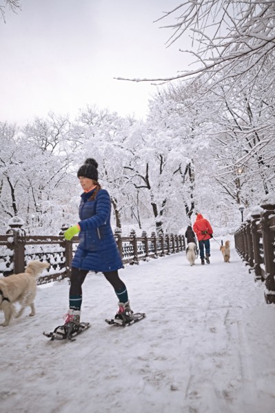 Winter in Central Park, NYC