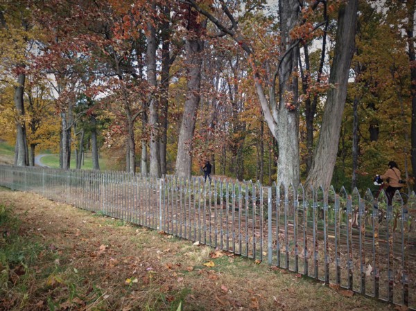The Storm King Art Center