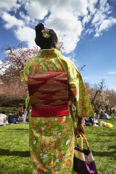 Jardin botanique de New York