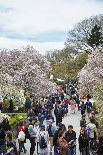 New York Botanical Garden