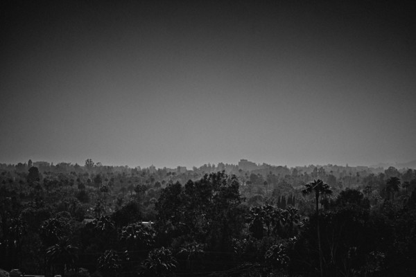 Reportage Los Angeles